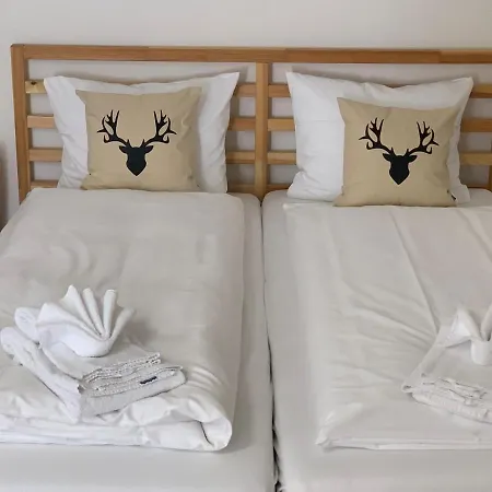 Parsennblick Mit Dachterrasse דאבוס